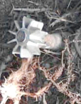 Unexploded bomb found in Lahad Datu